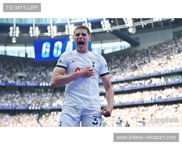 热刺连续渗透打穿防线前锋推射入网奠定胜局