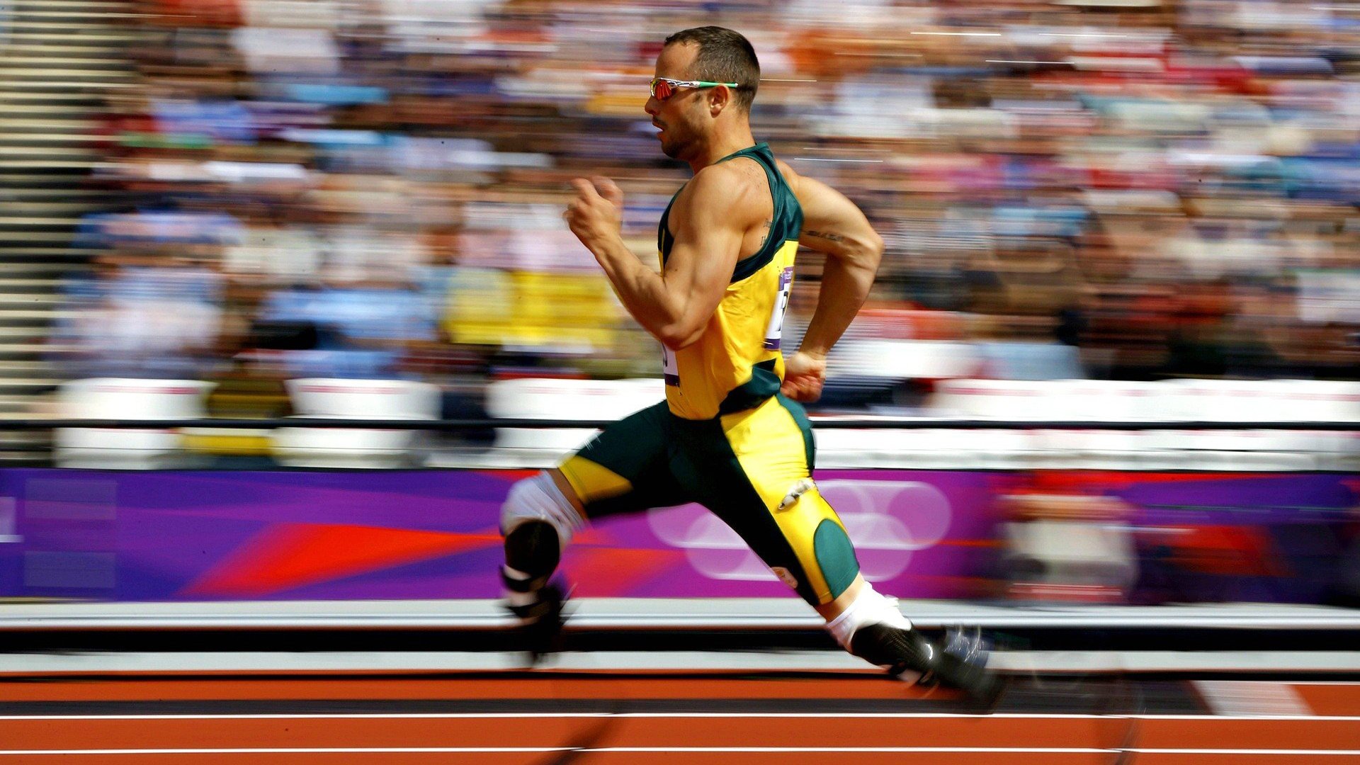 塔特带领袋鼠队迎战新西兰,全场表现可圈可点