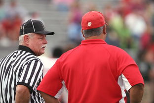 意甲裁判语义分析辅助判罚准确性的应用探讨，意甲裁判名单